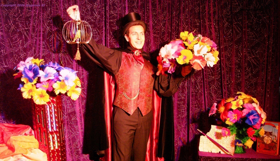 Élégant costume dans ce spectacle magie jeune public en école centre de loisirs en Essonne. Meilleur Magicien 91 à 91160 Ballainvilliers Élégant costume dans ce spectacle magie jeune public en école centre de loisirs en Essonne. Meilleur Magicien 91 à 91160 Ballainvilliers