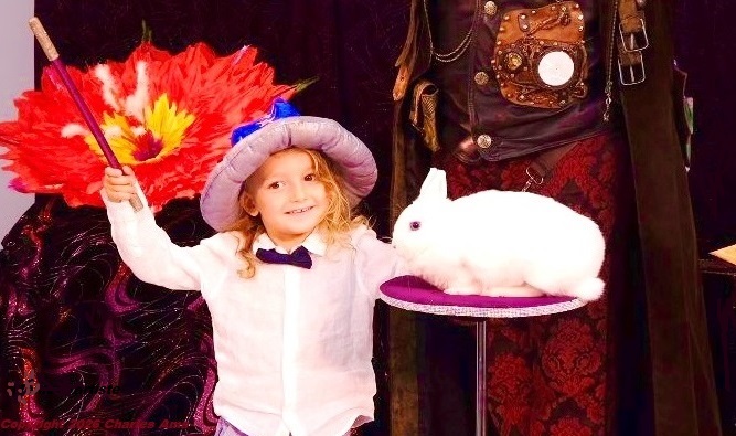 Enfant heureux de caresser le lapin: Spectacle scolaire jeune public de magie école maternelle et centre de loisirs à 91100 Corbeil-Essonnes Enfant heureux de caresser le lapin: Spectacle scolaire jeune public de magie école maternelle et centre de loisirs à 91100 Corbeil-Essonnes